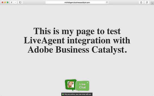 LiveAgent Adobe Business Catalyst-Integration
