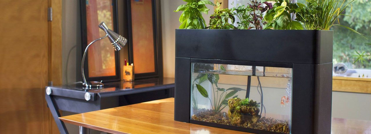 Aquasprouts_Success_Story2