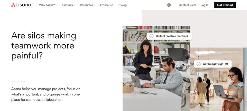 Asana-Startseite