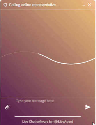 LiveAgent live chat conversation example-gif